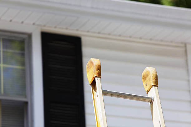 Best Siding Removal and Disposal  in Lmer Heights, PA